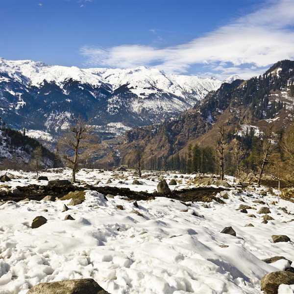 Shimla and Manali Tour